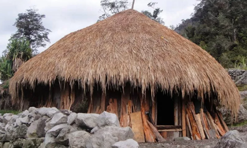 Rumah Adat Papua